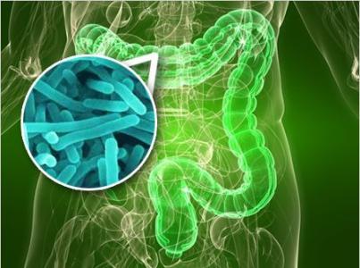 新疗法针对肠道细菌预防和逆转食物过敏