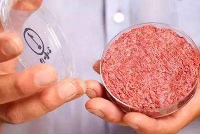 你会吃实验室细胞培养的肉吗