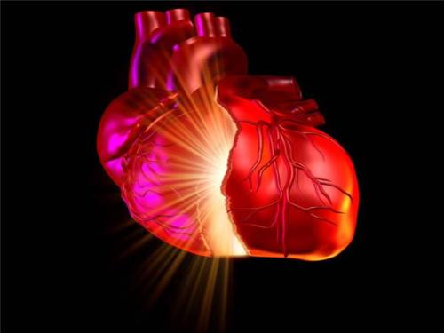 科学家研究了从健康心脏到心力衰竭过渡的基因组支柱
