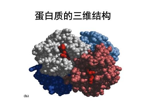 使用DLS和机器学习测试治疗性蛋白质的稳定性