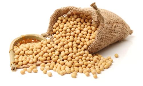 大豆蛋白具有降胆固醇作用
