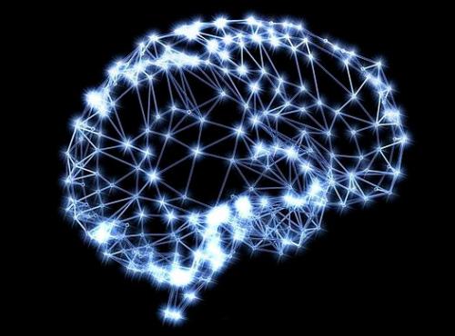 测量对大脑网络的损害可能有助于中风治疗
