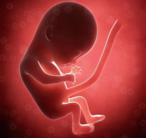 研究确定了胎儿酒精综合症的破坏性影响
