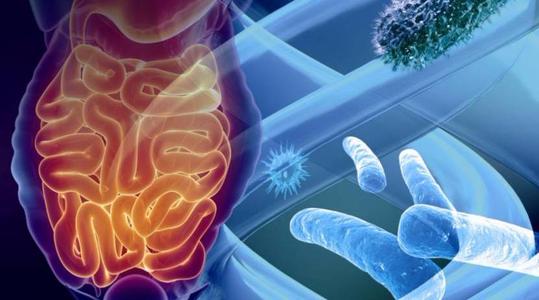 初步研究将提供数据以进一步测试肠道微生物组分析