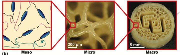 研究人员开发出可模拟生物组织的3D可打印材料