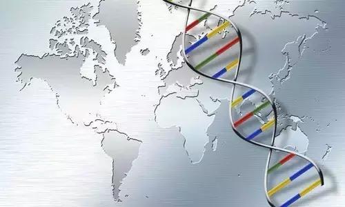 宇航员双胞胎研究产生了新的见解和便携式DNA测序工具