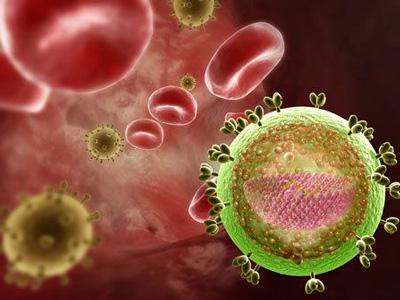 研究强调了与不同血流感染相关的患者死亡率的巨大差异