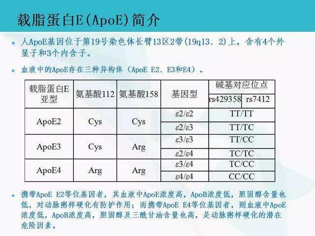 介绍下载脂蛋白的功能有哪些