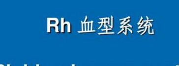 科普下Rh血型系统临床意义是什么