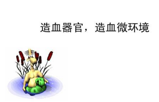 科普下造血微环境的定义是什么