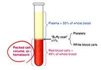 科普下血细胞比容测定操作方法有哪些