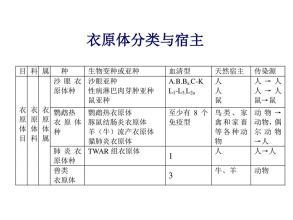 科普下衣原体的发育繁殖周期知识点总结有哪些