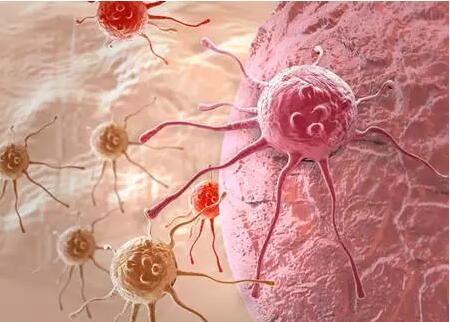 研究人员为癌症的个性化治疗确定了一种新的生物标志物