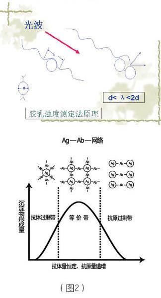 科普下免疫比浊法对抗体的要求有哪些