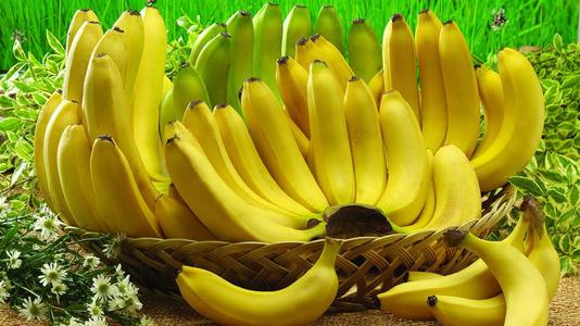 寻求拯救香蕉免于灭绝