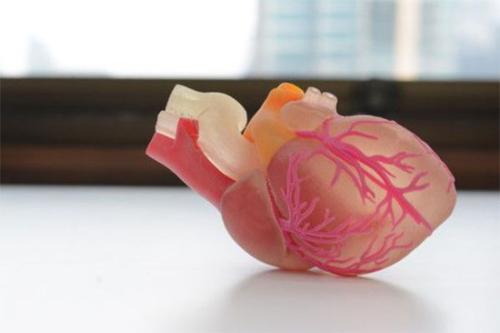 研究人员从人类患者的细胞中3D打印心脏