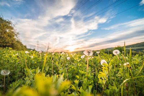 介绍激素按照按化学性质来分类可以分成几类