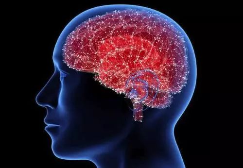 过度活跃的免疫系统与衰老的脑紊乱有关