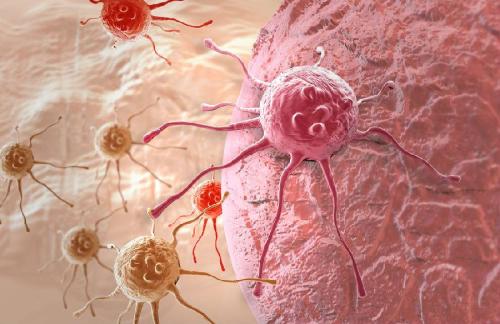 寻找酶家族可能暴露休眠的癌细胞