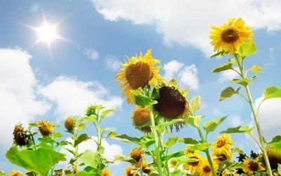 介绍最高级别的P4实验室具体是怎样的