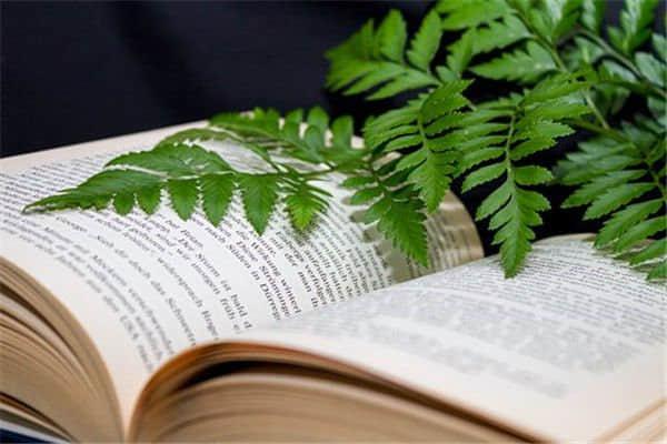 介绍趋化活性测定法测定细胞因子活性