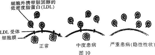 科普下脂蛋白的分类有哪些