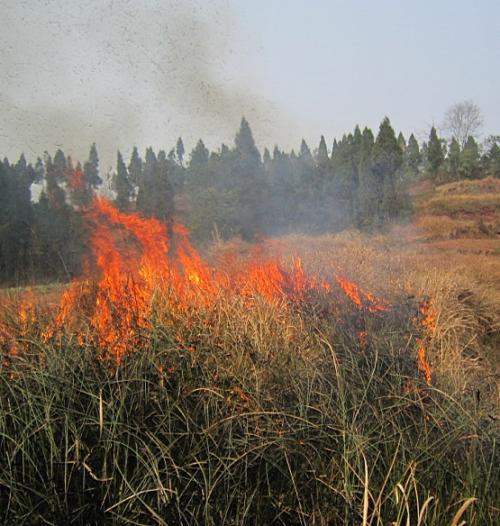 地理研究发现炎热的天气导致野火
