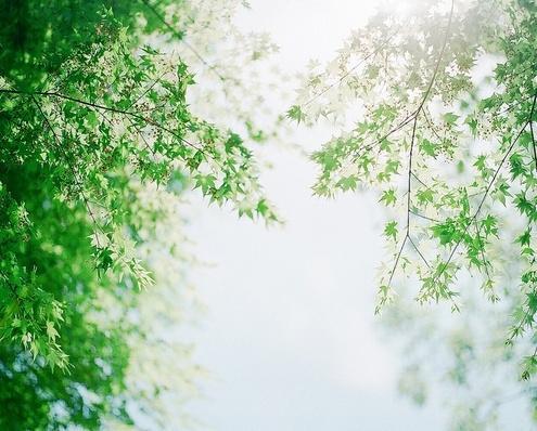 介绍光谱分析的原理是什么
