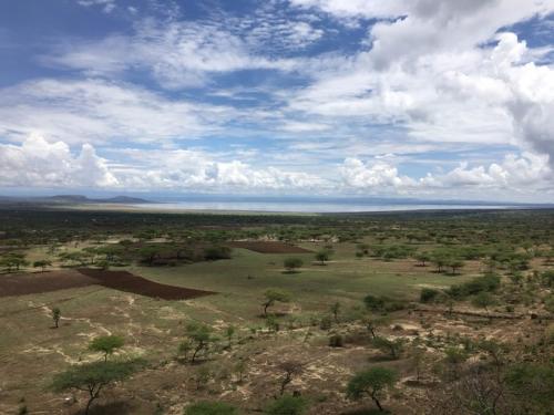 研究揭示了埃塞俄比亚木本杂草入侵对生态和经济的巨大影响