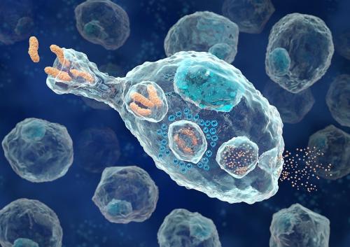 巨噬细胞甲状腺病的新调节因子