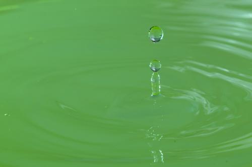 介绍共同膜免疫机制的定义