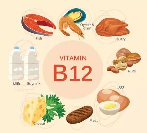 维生素B12缺乏五种最好的食物交换以防止症状