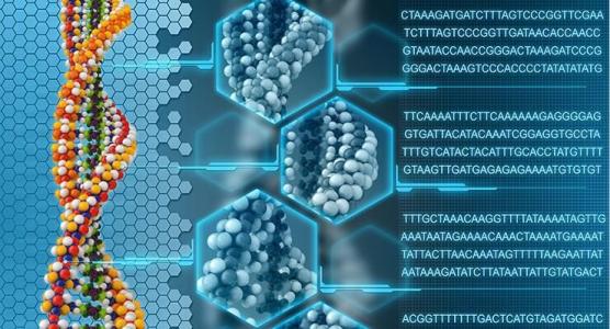 研究人员使用基因组学来解决一项为期20年的案例研究