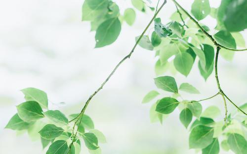 讲解分析范围评价的内容