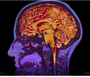 研究发现一种新型的磁刺激有助于逆转脑震荡症状