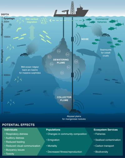科学家进一步评估深海采矿对生态的影响