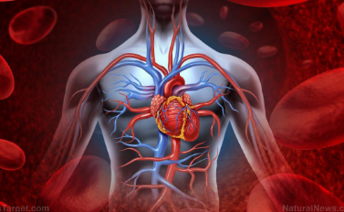 研究人员发现减轻炎症可以改善心脏健康