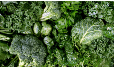 每天只需一份绿色蔬菜 就可以将大脑衰老推迟十多年