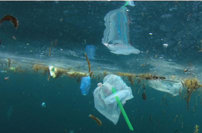 调查发现地中海水域充满泡沫和渔具的微塑料
